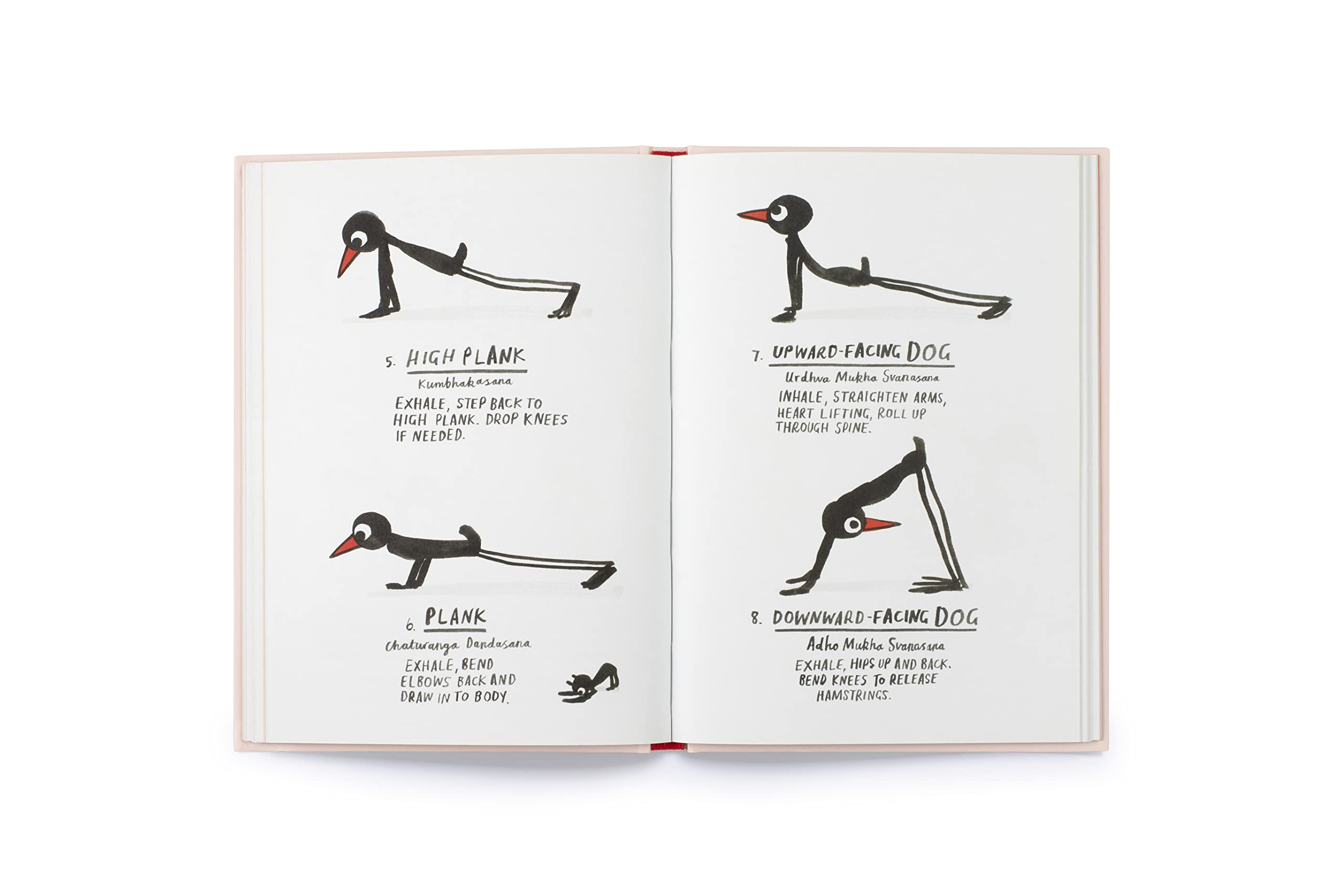 Yoga for Stiff Birds bog